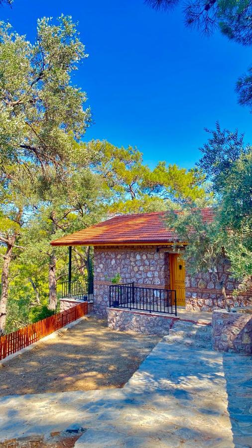 Çandır Resort Restaurant Muğla Dış mekan fotoğraf